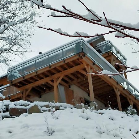 Au Chalet De Jo Muhlbach-sur-Munster Kültér fotó