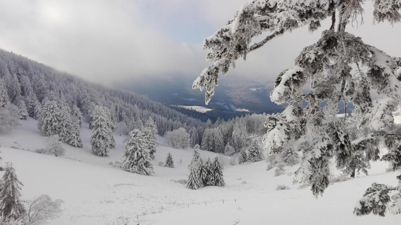 Au Chalet De Jo Muhlbach-sur-Munster Kültér fotó