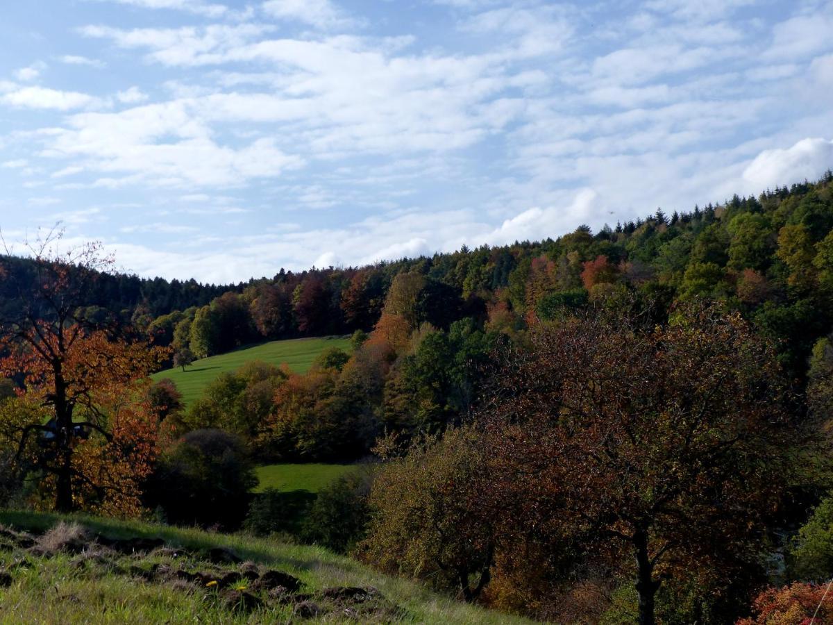 Au Chalet De Jo Muhlbach-sur-Munster Kültér fotó