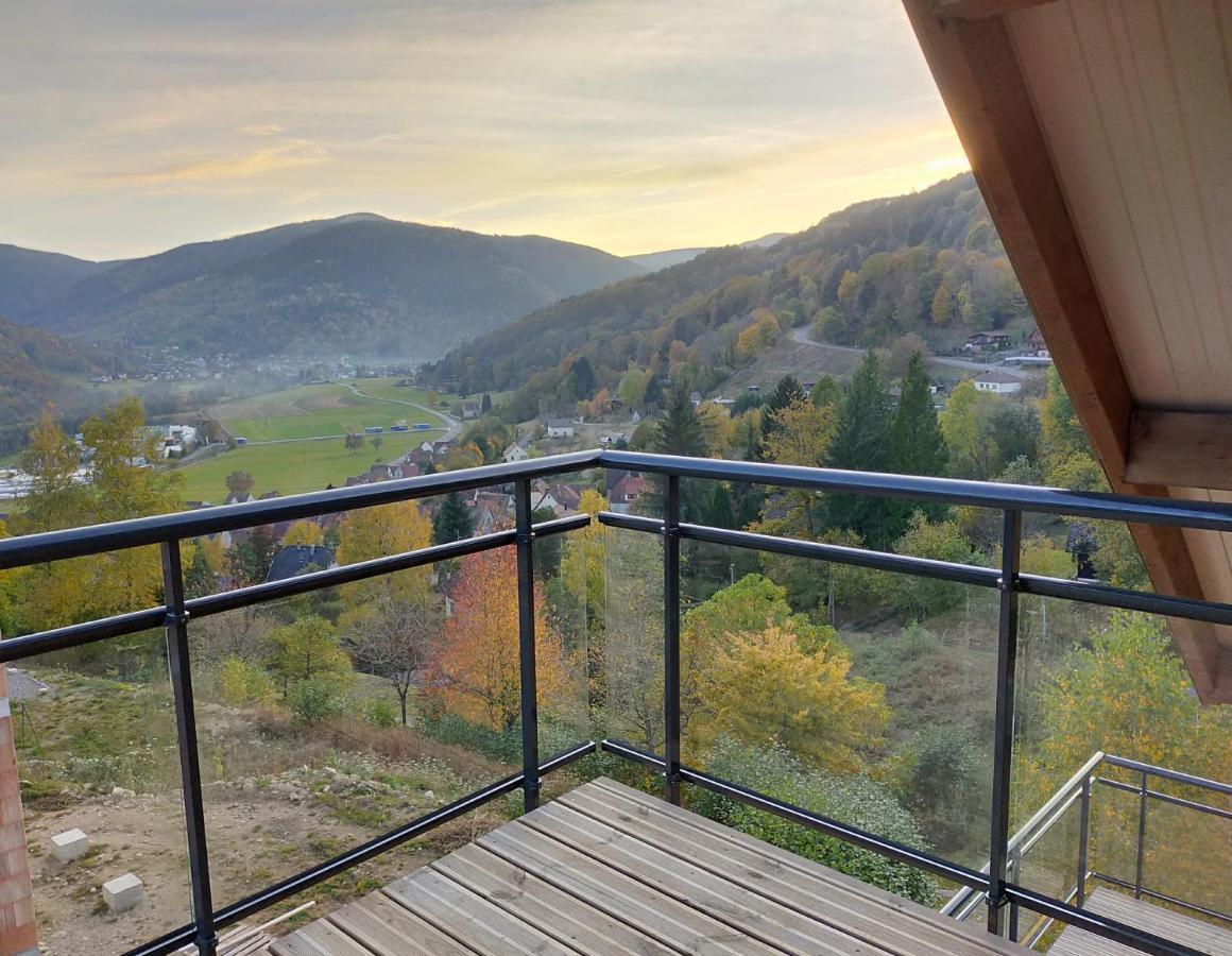 Au Chalet De Jo Muhlbach-sur-Munster Kültér fotó