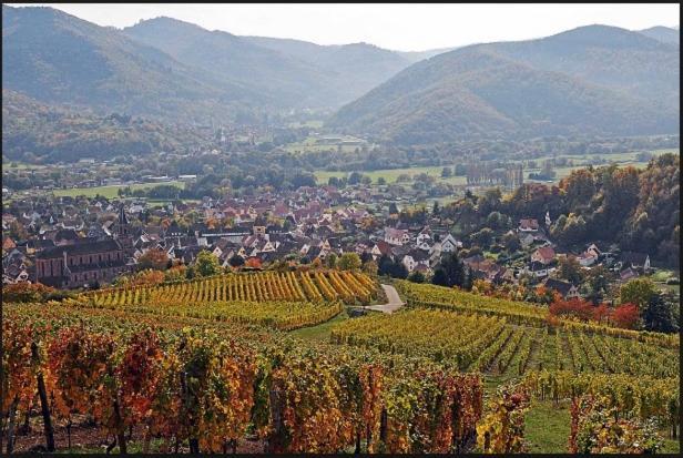 Au Chalet De Jo Muhlbach-sur-Munster Kültér fotó