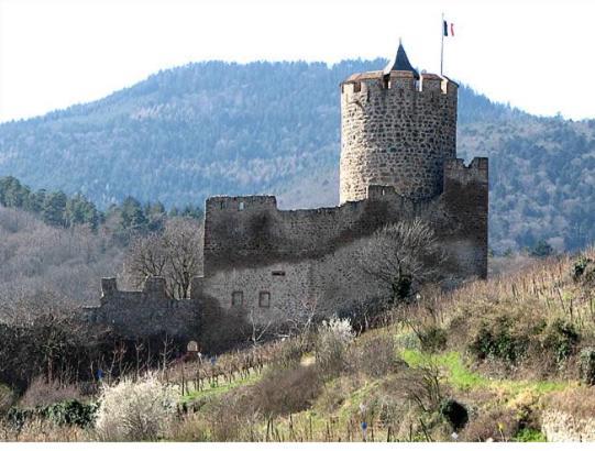 Au Chalet De Jo Muhlbach-sur-Munster Kültér fotó