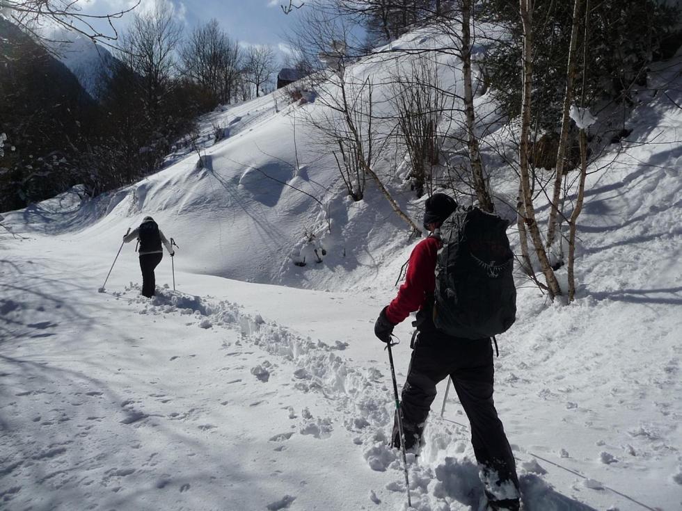 Au Chalet De Jo Muhlbach-sur-Munster Kültér fotó