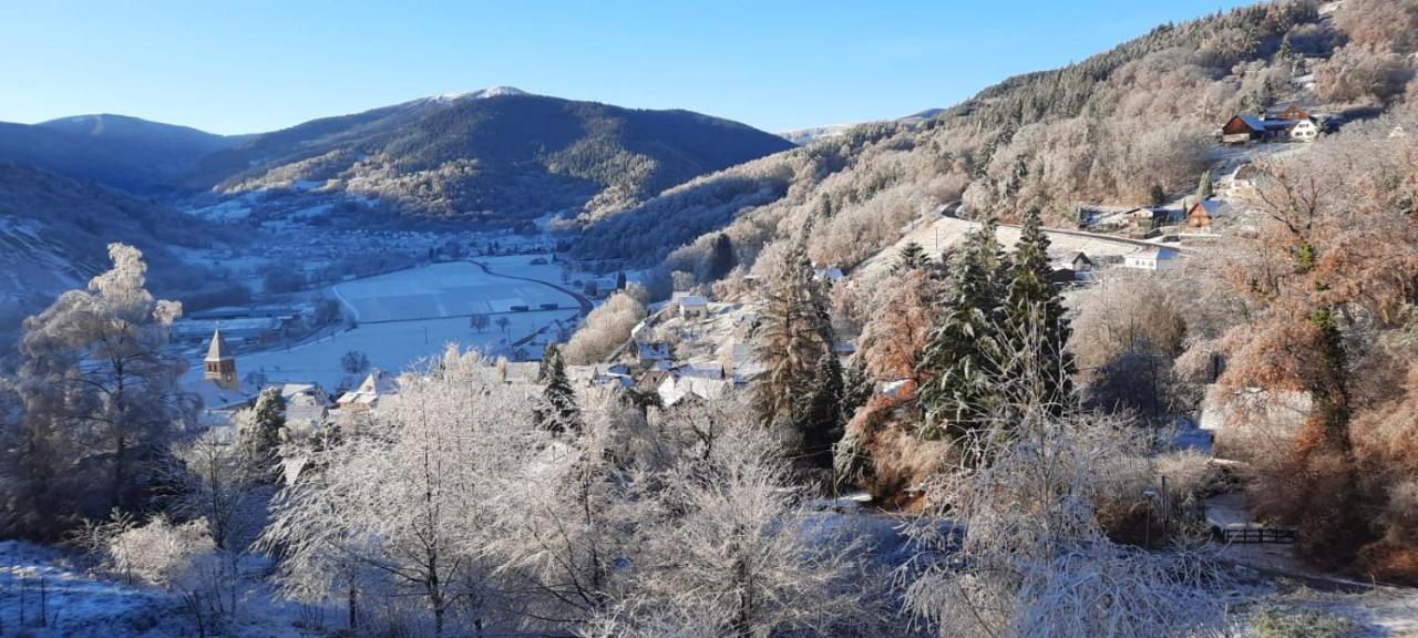 Au Chalet De Jo Muhlbach-sur-Munster Kültér fotó