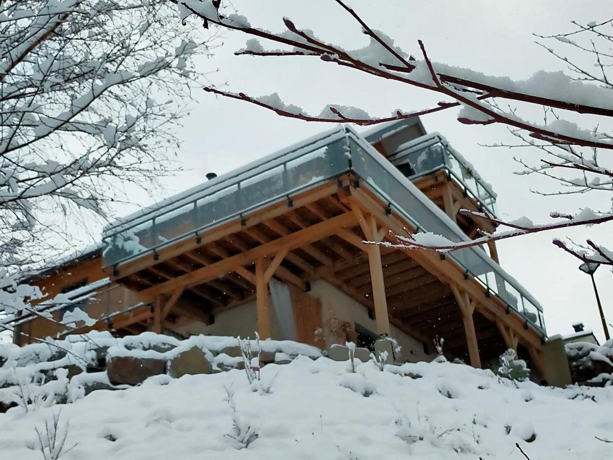 Au Chalet De Jo Muhlbach-sur-Munster Kültér fotó