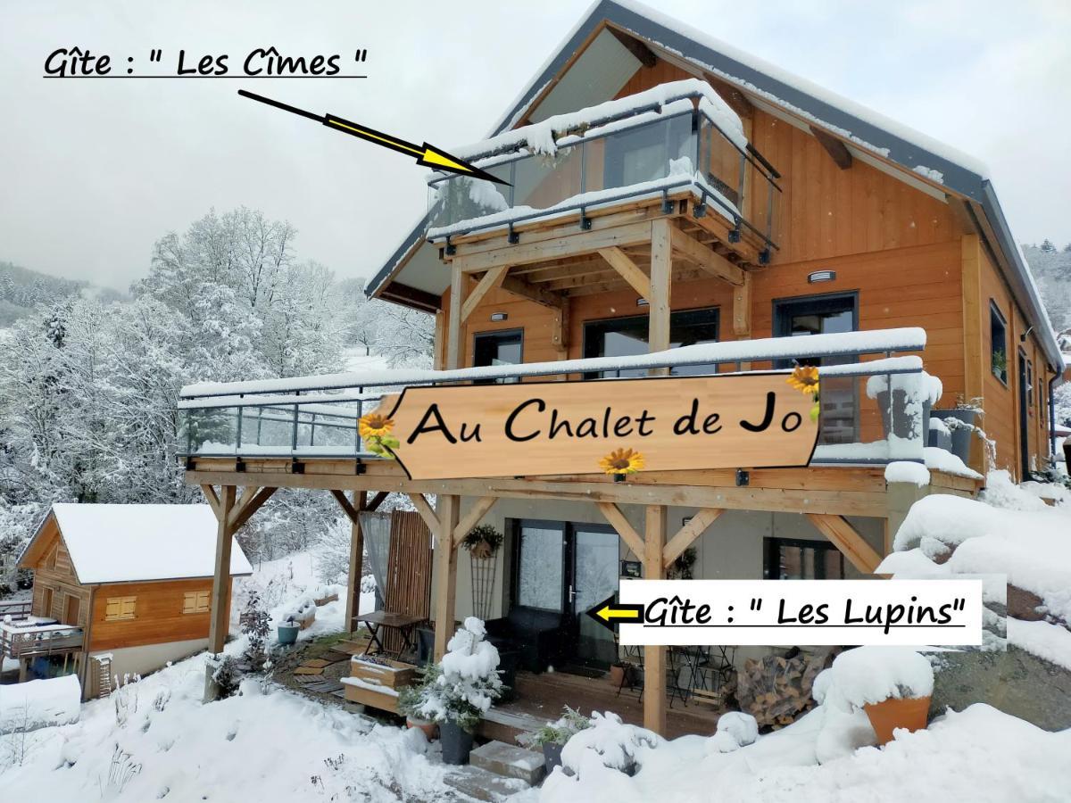 Au Chalet De Jo Muhlbach-sur-Munster Kültér fotó