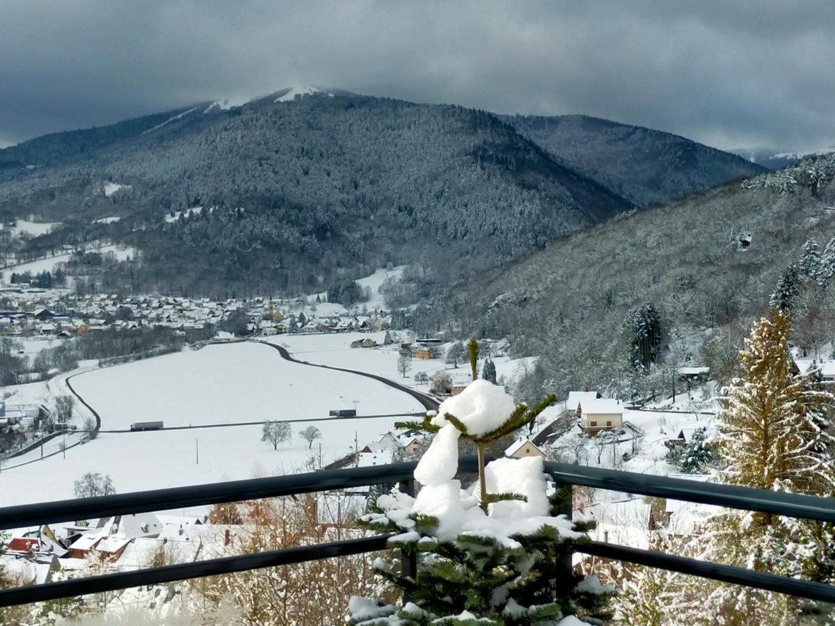 Au Chalet De Jo Muhlbach-sur-Munster Kültér fotó